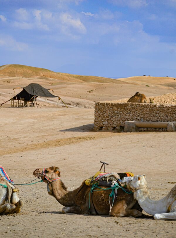 CAMEL