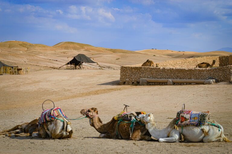 CAMEL