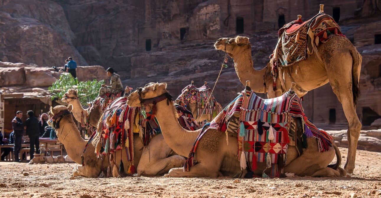 Marrakech Camel Ride Experience – Sunset Tour in Agafay Desert